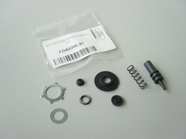Evoluzione piston kit