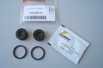 Pistons kit (2 pcs.)