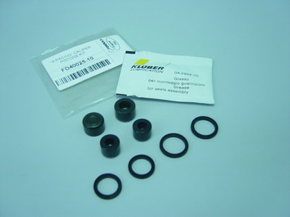 Pistons kit (2 pcs.)