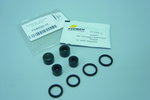 Pistons kit (2 pcs.)