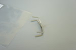 Pads spring
