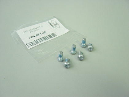 Disc screws kit (6 pcs.)