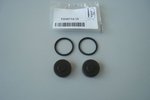 Pistons kit (2 pcs.)