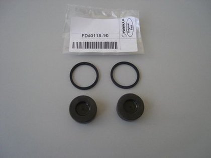 Pistons kit (2 pcs.)
