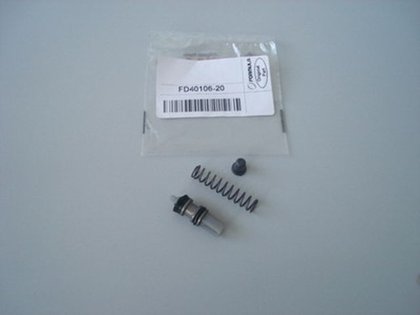 Piston kit